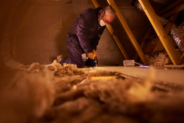 Best Insulation Maintenance and Repair in Sur Hill, GA