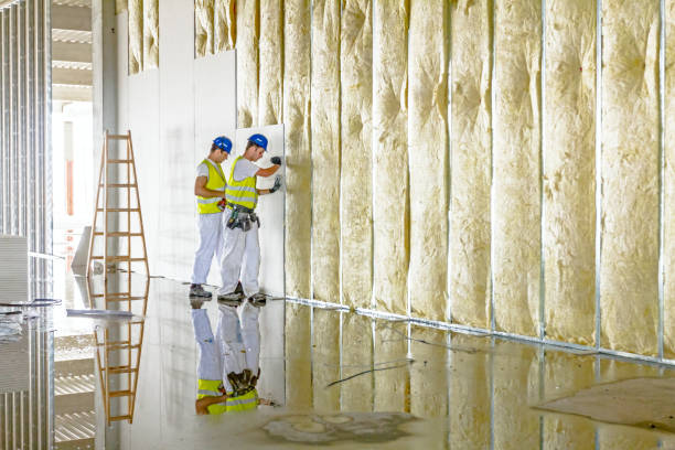 Best Types of Insulation in Sur Hill, GA